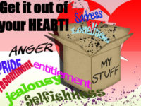 Lids Ripped Off Our Little Boxes