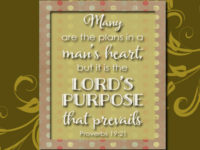 God’s Plan for Your Life Works