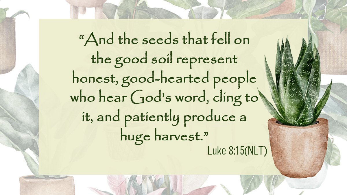 After the Blessing – What Comes Next?