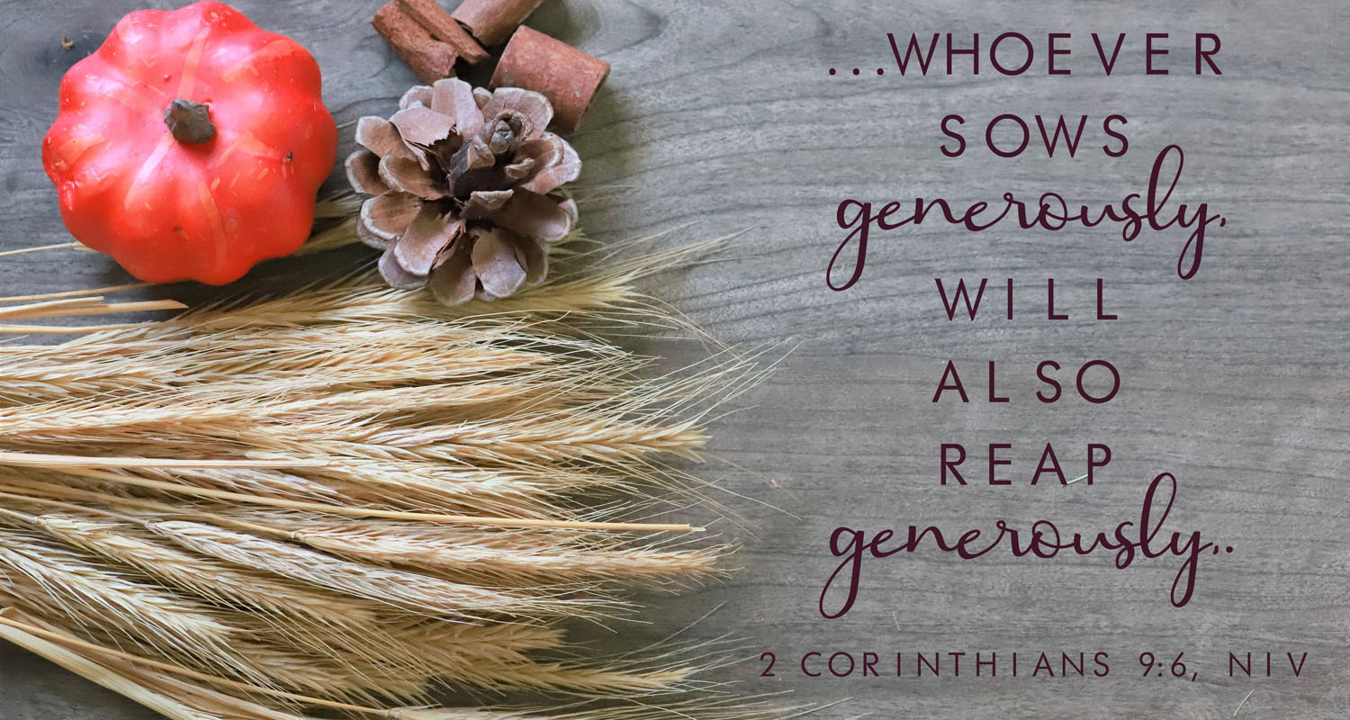 We Will Harvest What We Plant