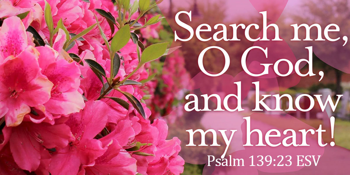 Lord, Search My Heart