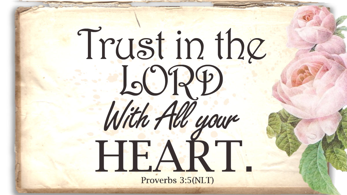 God Has Made Provisions