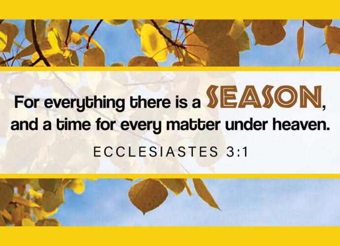 Ecclesiastes 3:1 written across a background of fall leaves with a blue sky peaking through