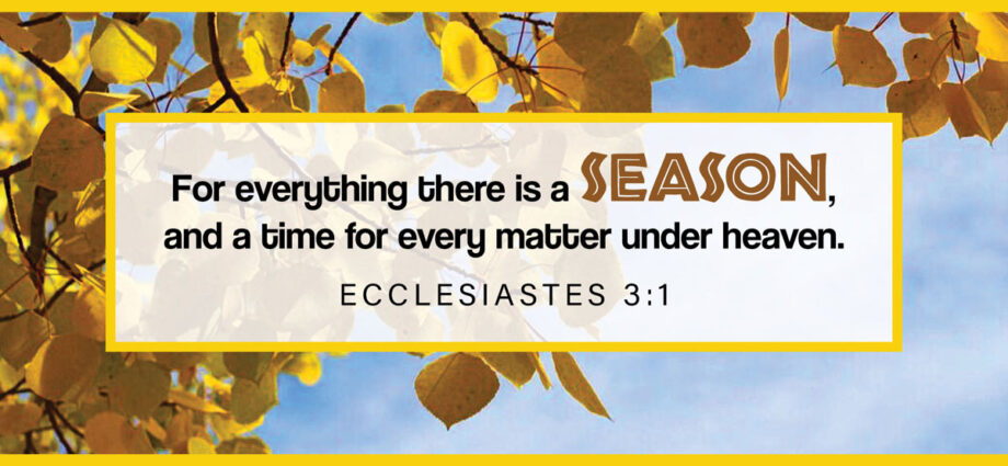 Ecclesiastes 3:1 written across a background of fall leaves with a blue sky peaking through