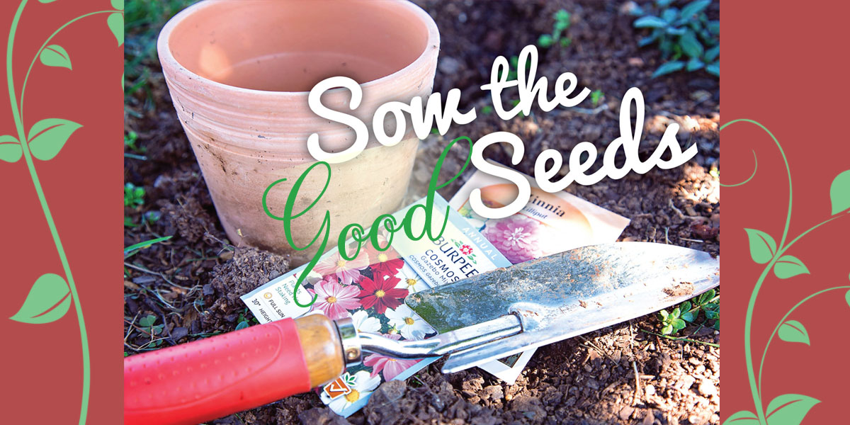 Sow into God’s Kingdom