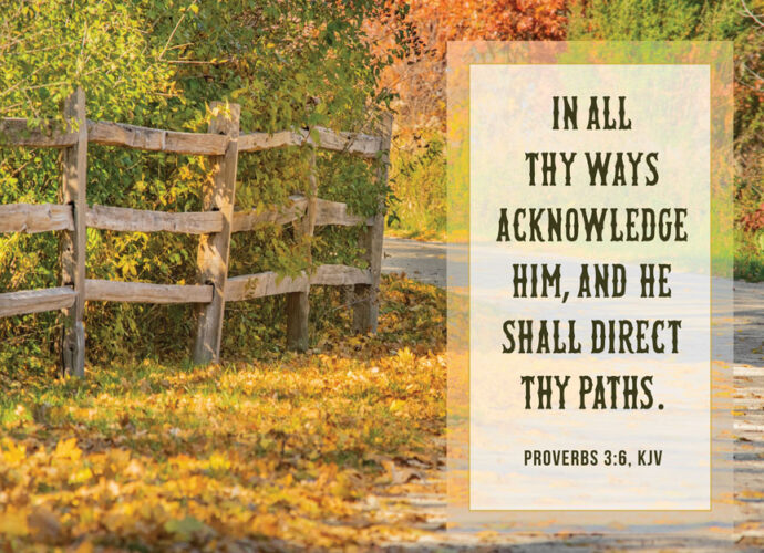 Beautiful Fall tree lined pathway with the words of Proverbs 3:6