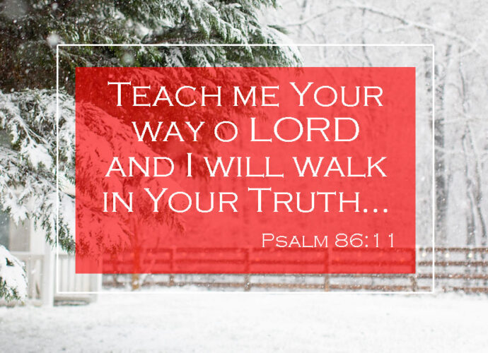 Snowy trees with snow on the ground and fence. Psalm 86:11 written across it.