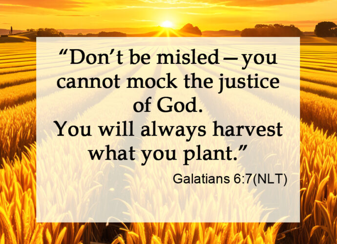 Sunrise over a field of wheat, Galatians 6:7 written across it.