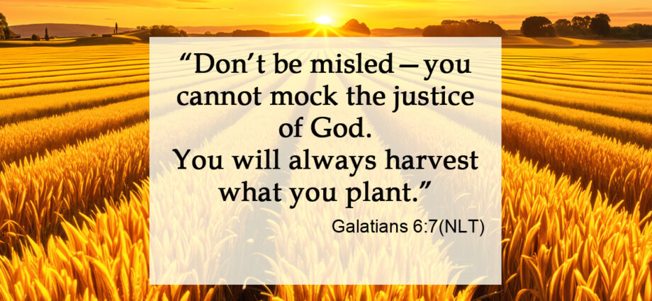 Sunrise over a field of wheat, Galatians 6:7 written across it.