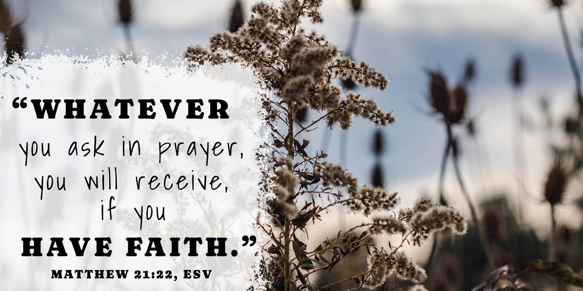 Faith Over Familiar