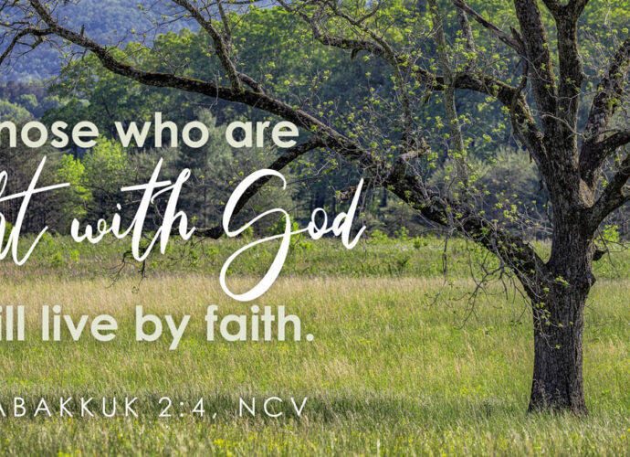 A tree in a beautiful green field with Habakkuk 2:4 written across it.