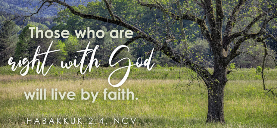 A tree in a beautiful green field with Habakkuk 2:4 written across it.