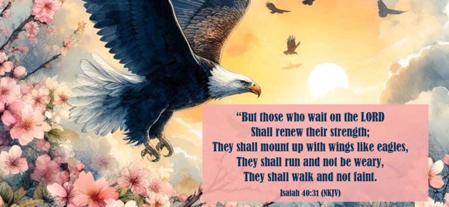 background of eagle flying through pink oriental blossoms with the word of Isaiah 40:31 in the foreground.