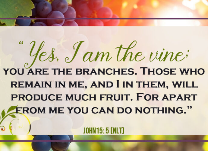 Colorful grapes growing on twisting vines and branches with sunlight shining through the leaves. The foreground displays John 15:5, symbolizing abiding in Jesus Christ, spiritual growth, and staying close to God.