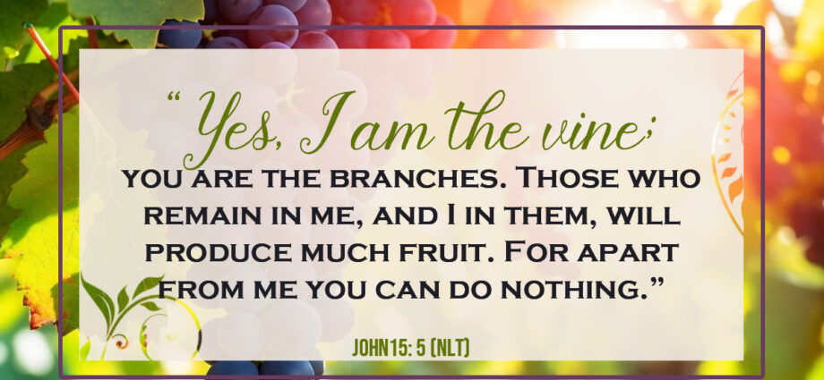 Colorful grapes growing on twisting vines and branches with sunlight shining through the leaves. The foreground displays John 15:5, symbolizing abiding in Jesus Christ, spiritual growth, and staying close to God.